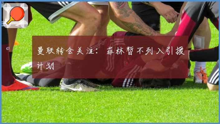 曼联转会关注:菲林暂不列入引援计划