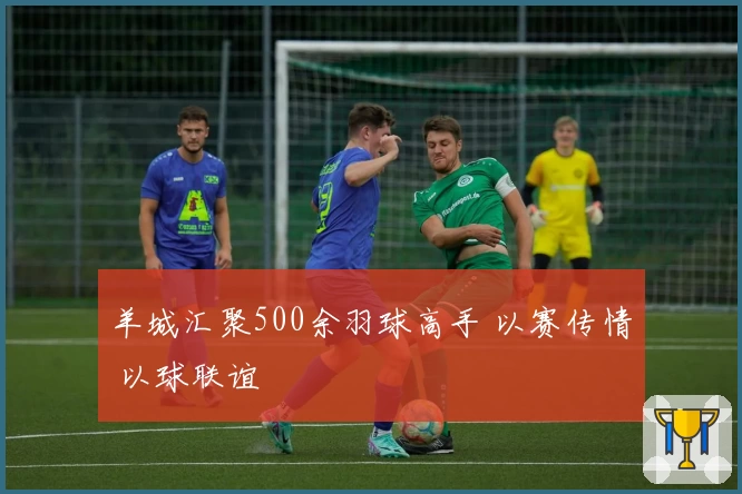 羊城汇聚500余羽球高手 以赛传情 以球联谊