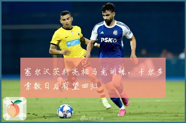 塞尔汉茨科亮相马竞训练,卡尔多索数日后有望回归
